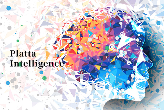 Platta Intelligence